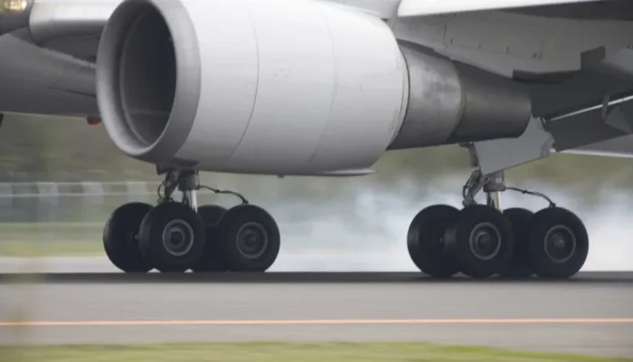 naom_5a550ae110c84.webp.webp naom_5a550ae110c84.webp.webp