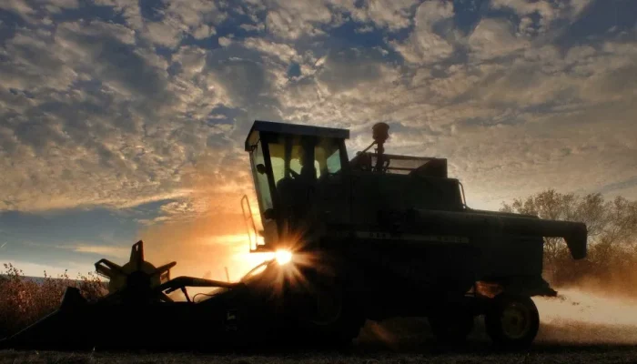 naom_5af8557cb62aa.webp.webp naom_5af8557cb62aa.webp.webp