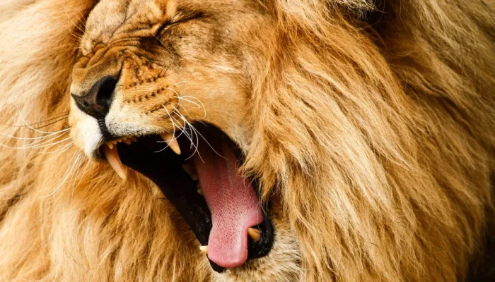 naom_642581ca7fc2a.webp.webp naom_642581ca7fc2a.webp.webp