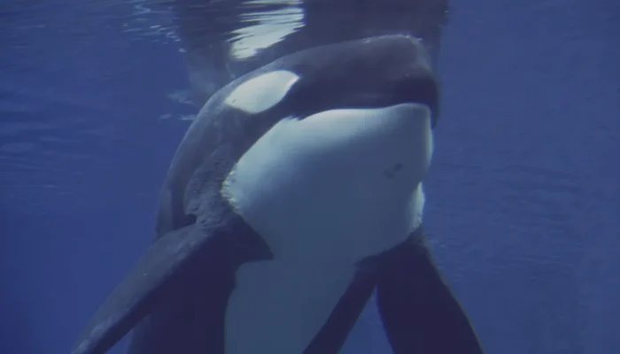 naom_6716757024195.webp.webp naom_6716757024195.webp.webp