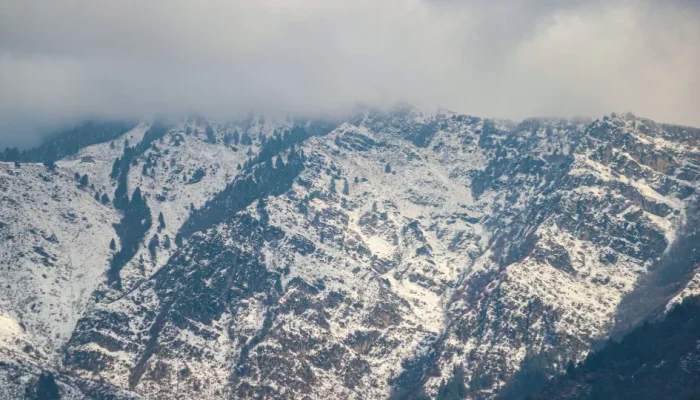 naom_67c193c34d6e6.webp.webp naom_67c193c34d6e6.webp.webp