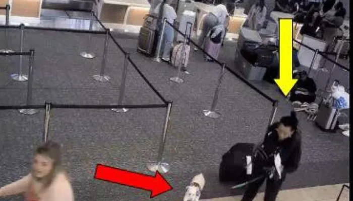 naom_67dd776bb0ba5.webp.webp naom_67dd776bb0ba5.webp.webp