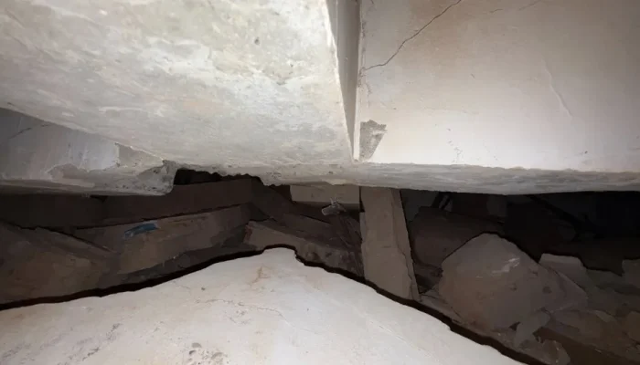 naom_67ea953d6ce88.webp.webp naom_67ea953d6ce88.webp.webp