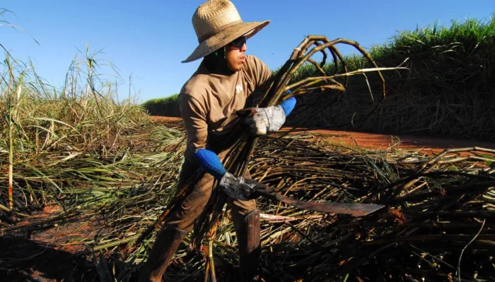 naom_68010e3916c03.webp.webp naom_68010e3916c03.webp.webp