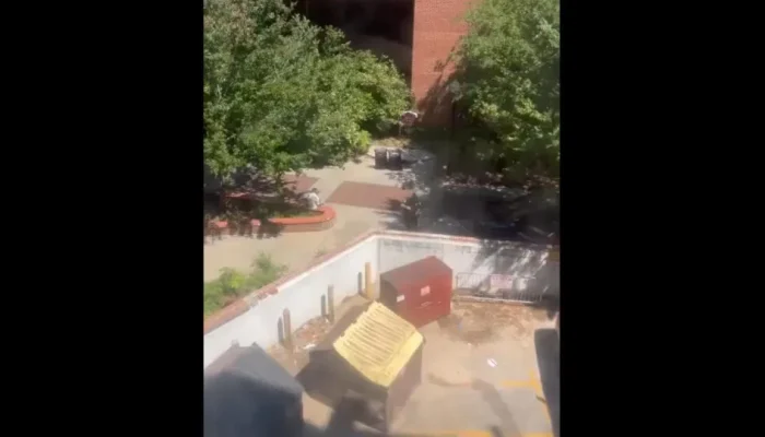 naom_680135ec8fdb6.webp.webp naom_680135ec8fdb6.webp.webp