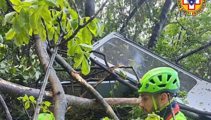 naom_68014378bb393.webp.webp naom_68014378bb393.webp.webp