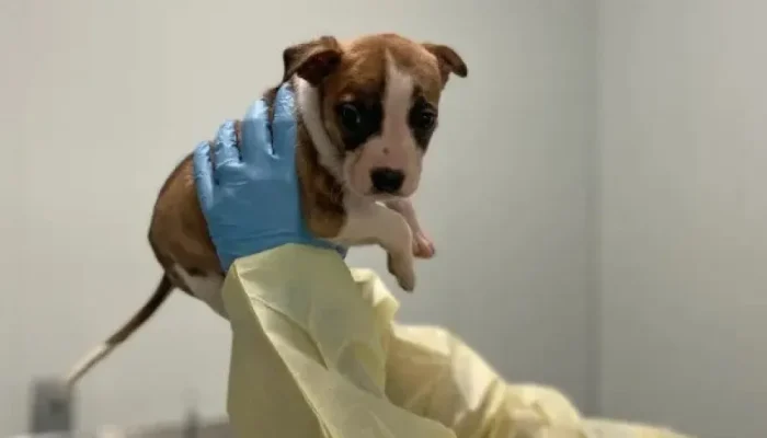 naom_68380204e585d.webp.webp naom_68380204e585d.webp.webp