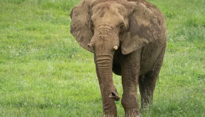 naom_6866c6baabee2.webp.webp naom_6866c6baabee2.webp.webp