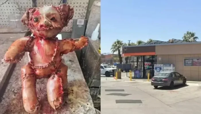 naom_6890eb08744a2.webp.webp naom_6890eb08744a2.webp.webp