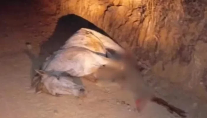 naom_68a4f9c10ed0d.webp.webp naom_68a4f9c10ed0d.webp.webp