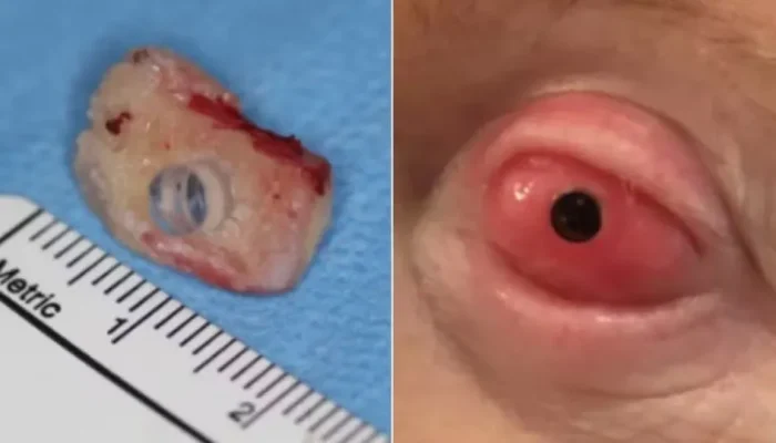 naom_68c69b398735a.webp.webp naom_68c69b398735a.webp.webp