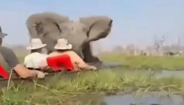 naom_68da5ccdb4dcf.webp.webp naom_68da5ccdb4dcf.webp.webp