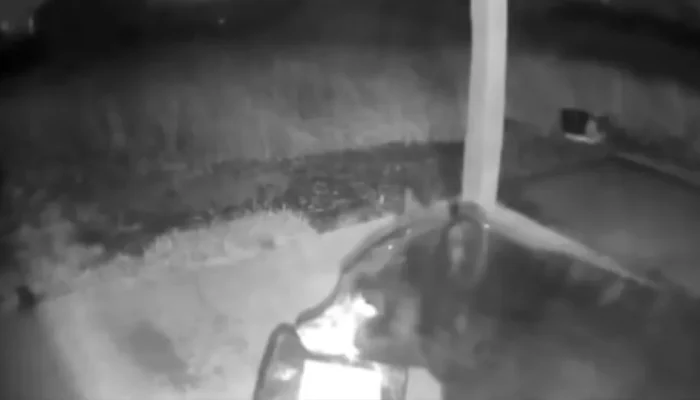 naom_68f338609719d.webp.webp naom_68f338609719d.webp.webp