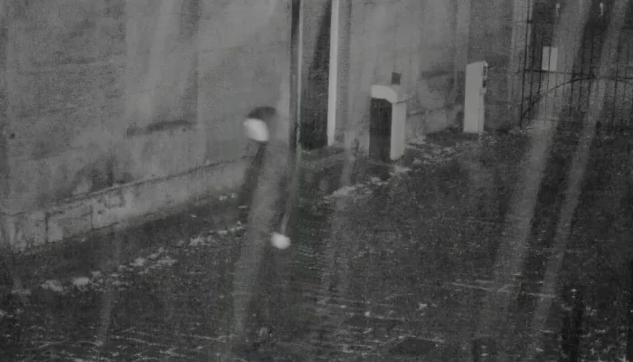 naom_68fb9755ad439.webp.webp naom_68fb9755ad439.webp.webp