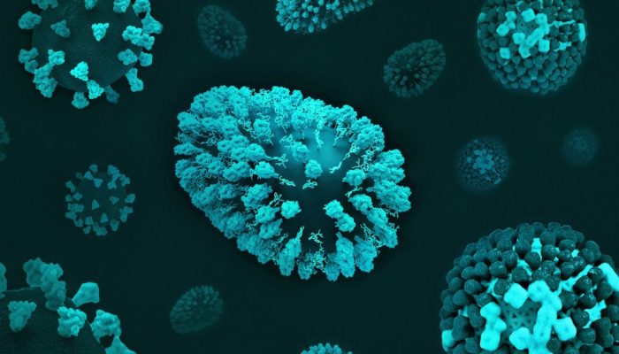 national-institute-of-allergy-and-infectious-diseases-bh57ZKDa07g-unsplash.jpg national-institute-of-allergy-and-infectious-diseases-bh57ZKDa07g-unsplash.jpg