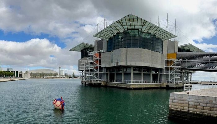 oceanario-lisboa.jpg