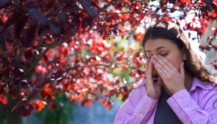 outono-cuidados.jpg outono-cuidados.jpg