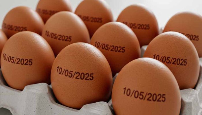 ovos-com-data.jpg ovos-com-data.jpg