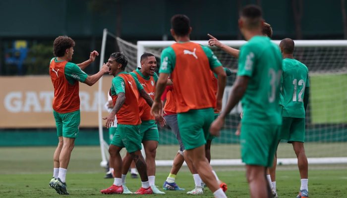 palmeiras_0e4dd2.jpg palmeiras_0e4dd2.jpg