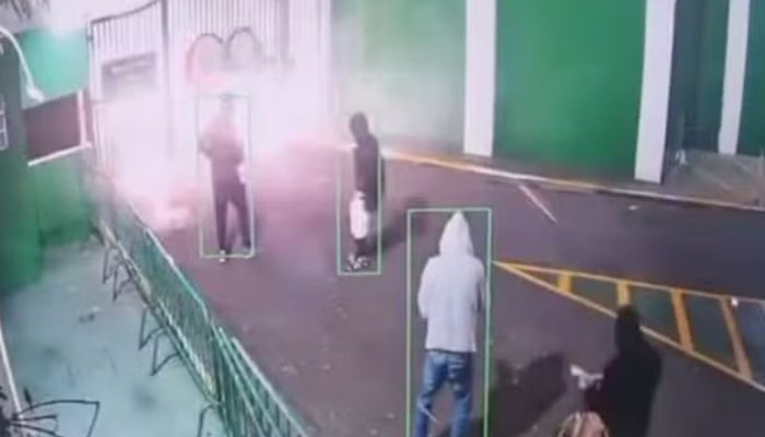 pameirasct.jpg pameirasct.jpg