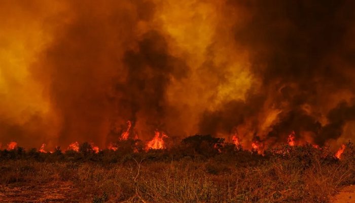 pantanal-fogo.jpg pantanal-fogo.jpg