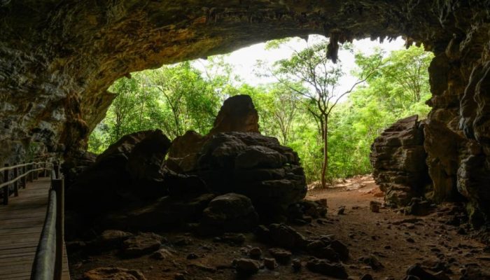 parque-lapa-grande.jpg parque-lapa-grande.jpg