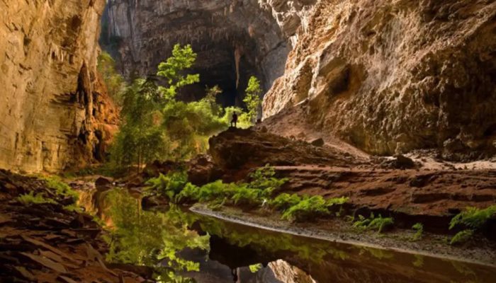 peruacu.webp.jpeg peruacu.webp.jpeg