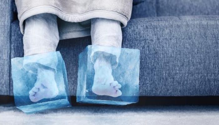 pes-congelados-gelados-frios-frio-inverno-1686751876903_v2_615x300.jpg pes-congelados-gelados-frios-frio-inverno-1686751876903_v2_615x300.jpg