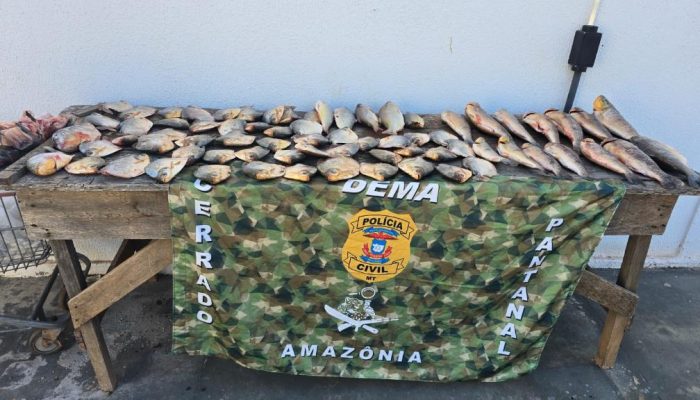 pesca-dema.jpeg pesca-dema.jpeg
