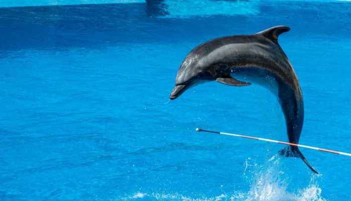 pexels-magda-ehlers-pexels-11740705.jpg pexels-magda-ehlers-pexels-11740705.jpg