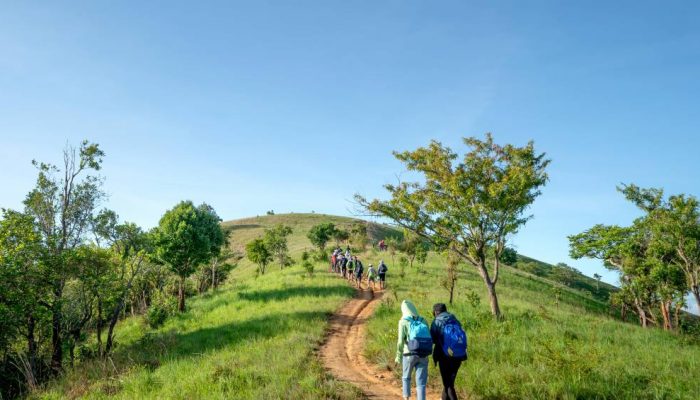 pexels-quang-nguyen-vinh-222549-4268178.jpg pexels-quang-nguyen-vinh-222549-4268178.jpg