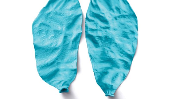 pulmc3a3o-bexiga.jpg pulmc3a3o-bexiga.jpg