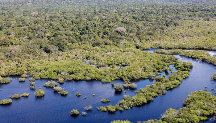 pzzb8225_0.jpg pzzb8225_0.jpg