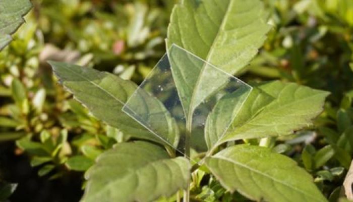 quadrado-fino-do-novo-plastico-1744299917316_v2_615x300.jpg quadrado-fino-do-novo-plastico-1744299917316_v2_615x300.jpg