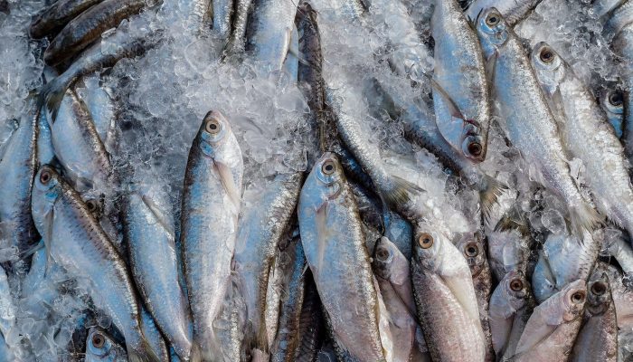 raf02739.jpg raf02739.jpg