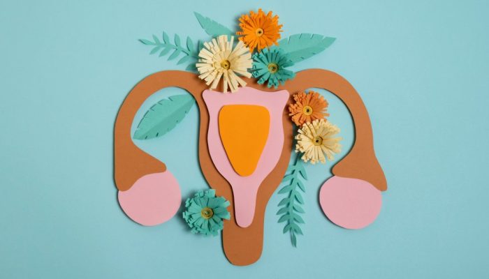 reproductive-system-with-cute-flowers.jpg reproductive-system-with-cute-flowers.jpg