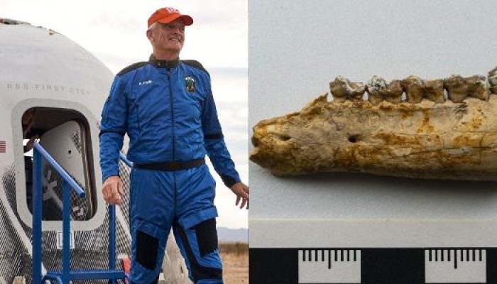 rob-ferl-professor-da-universidade-da-florida-viajou-com-a-blue-origin-carregando-tres-fosseis-1739.jpeg rob-ferl-professor-da-universidade-da-florida-viajou-com-a-blue-origin-carregando-tres-fosseis-1739.jpeg