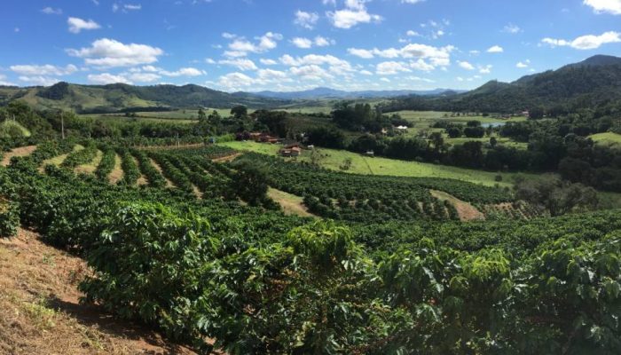 rota-do-cafe-paisagem.jpeg