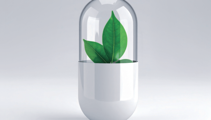 saude-alimentacao-ora-pro-nobis.png saude-alimentacao-ora-pro-nobis.png