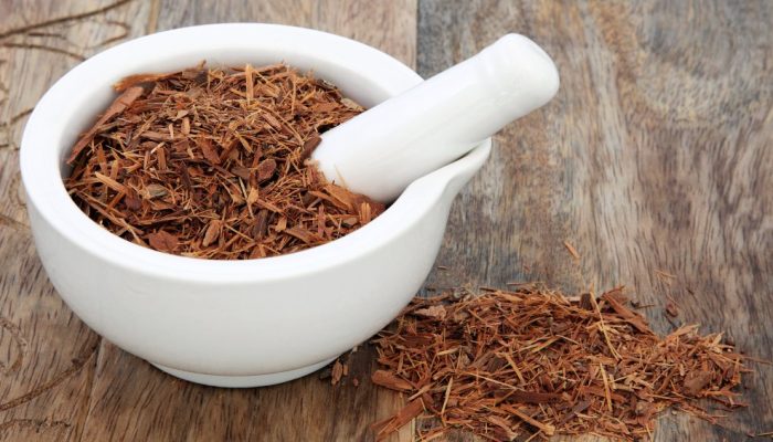 saude-alimentacao-plantas-ervas-chas-catuaba.jpg saude-alimentacao-plantas-ervas-chas-catuaba.jpg