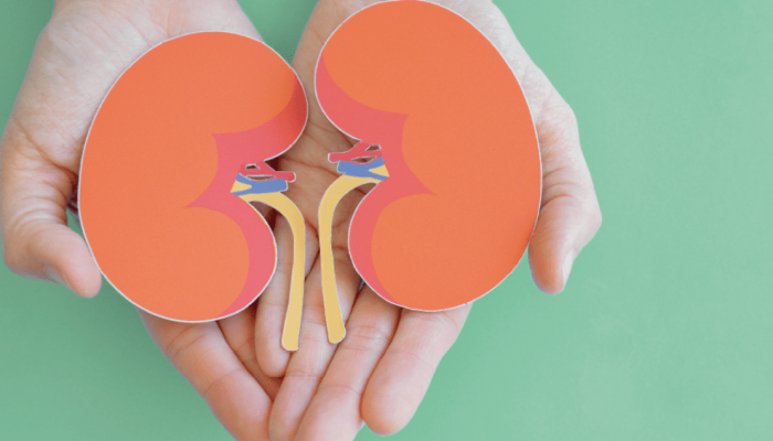 saude-medicina-rins-doenca-renal-urina-vasopressina.png saude-medicina-rins-doenca-renal-urina-vasopressina.png