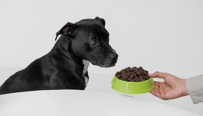 saude-vida-animal-alimentacao-caes-cachorros-racao-vegetariana-veg.jpg saude-vida-animal-alimentacao-caes-cachorros-racao-vegetariana-veg.jpg