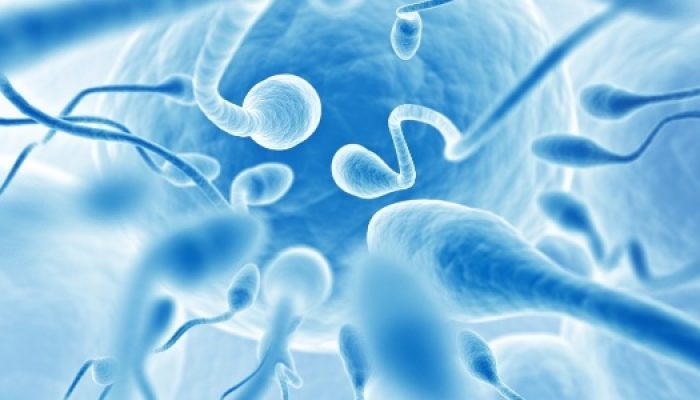 semen-reproducao-espermatozoide-1506038105974_615x300.jpg semen-reproducao-espermatozoide-1506038105974_615x300.jpg