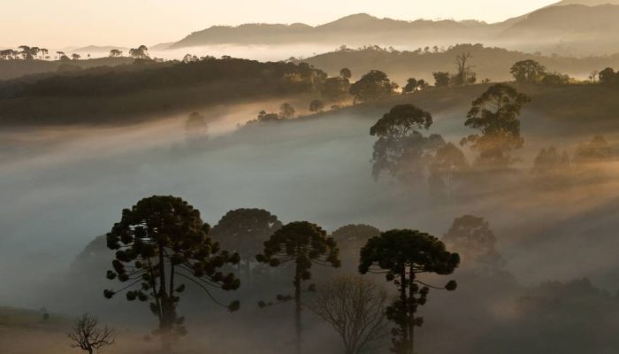 serra-da-bocaina.jpg serra-da-bocaina.jpg
