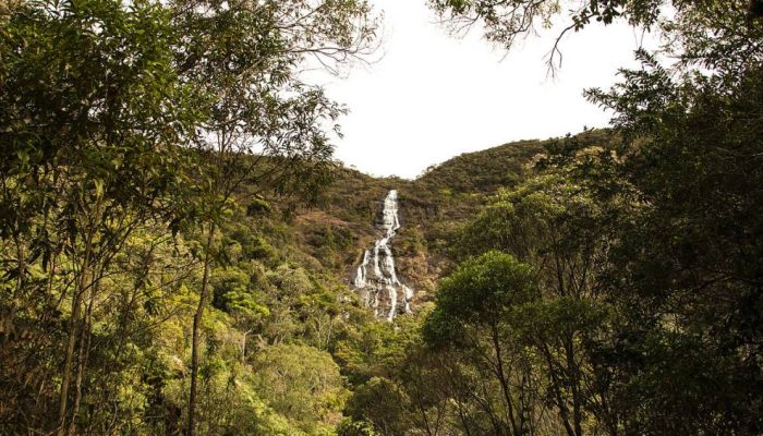 serra-do-papagaio-itamonte.jpg serra-do-papagaio-itamonte.jpg