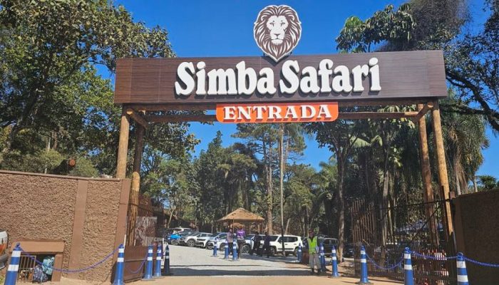simba-safari.jpg simba-safari.jpg