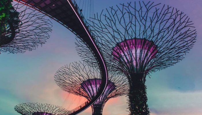 supertrees-garden-bay-the-bay-singapura.jpg