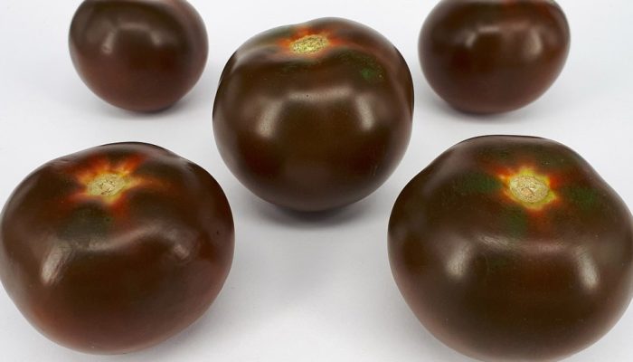 tomate-brown-marrom.jpg tomate-brown-marrom.jpg