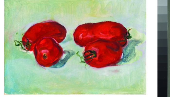 tomates1.jpg tomates1.jpg