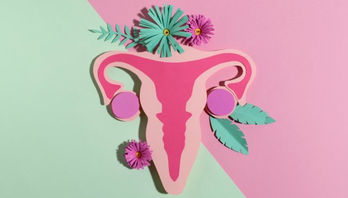 top-view-woman-reproductive-system.jpg